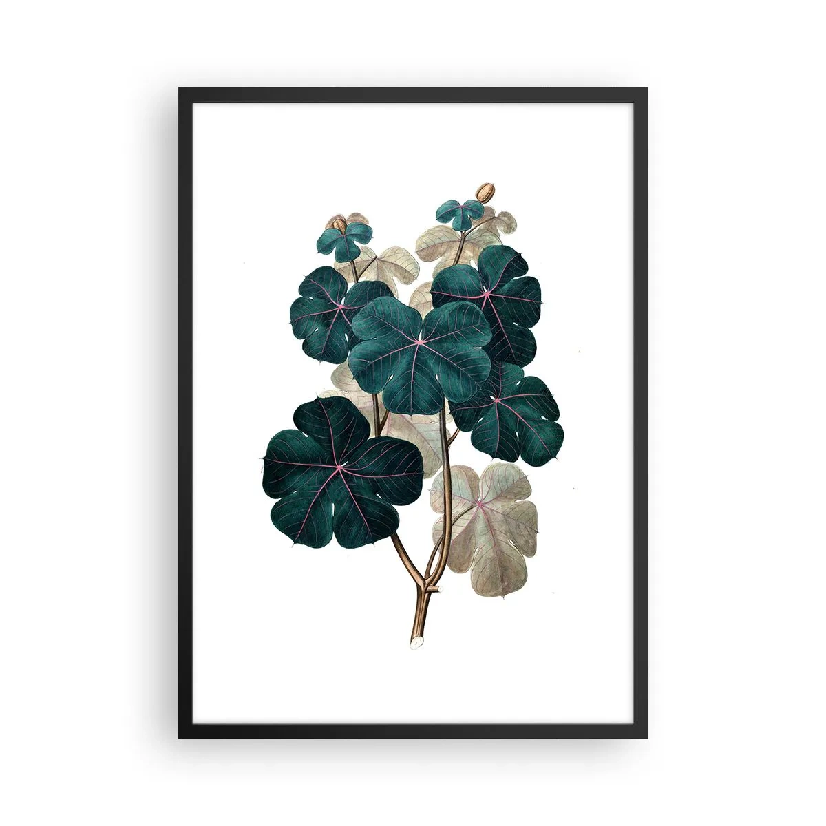 Poster in een zwarte lijst - Botanische illustratie met donkergroene bladeren op een lichte achtergrond - 50x70cm - Uit het oude herbarium - Moderne wanddecoratie voor woonkamer en slaapkamer ARTTOR