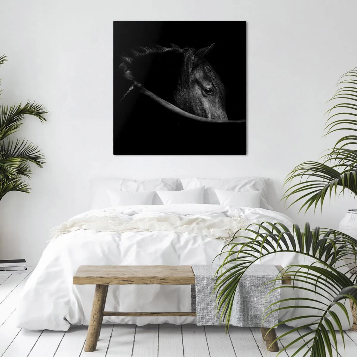 Schilderen op canvas - Zwarte Prins - 30x30 cm