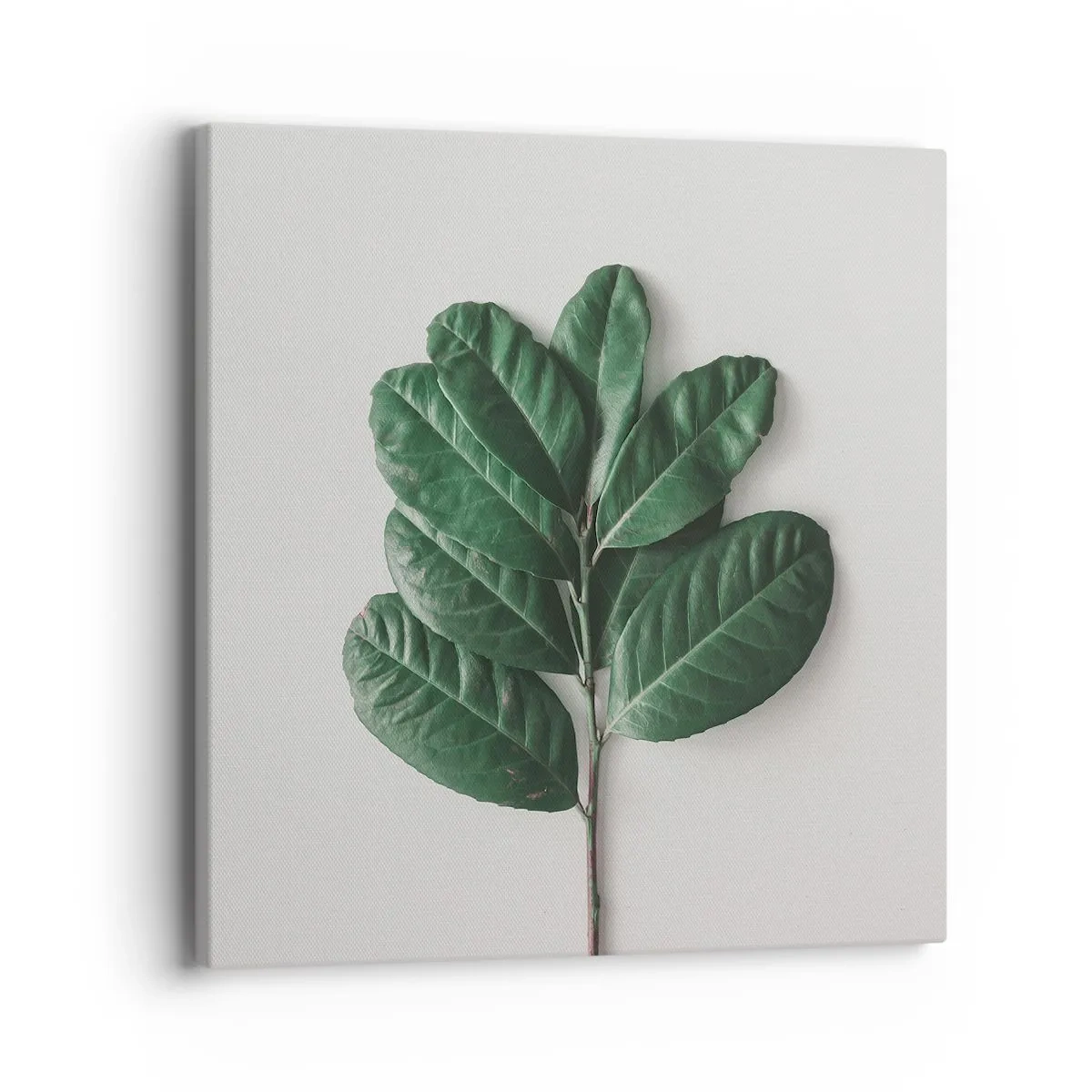 Schilderen op canvas - Een tekening van de pure natuur - 40x40 cm