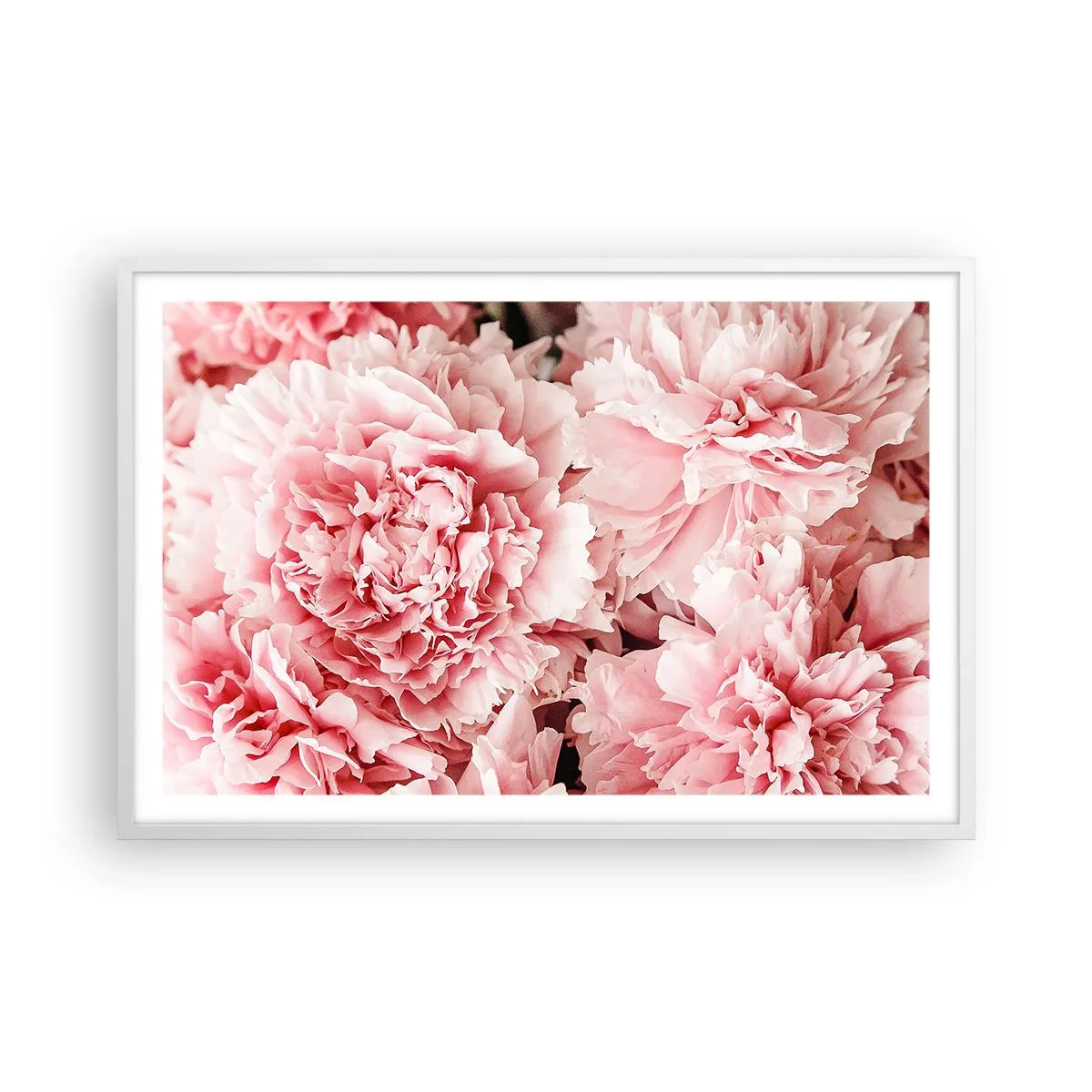 Poster in een witte lijst - Roze droom - 91x61 cm