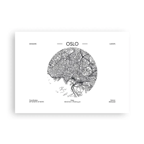 Poster - Anatomie van Oslo - 70x50 cm