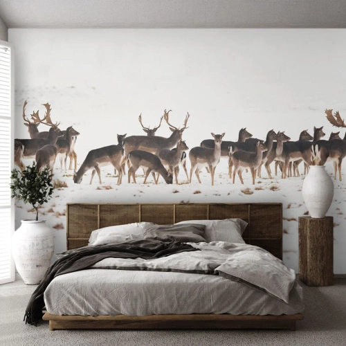 Fotobehang Premium Canvas - De kerst komt eraan? - Dieren, Hert, Natuur - 100x70 cm