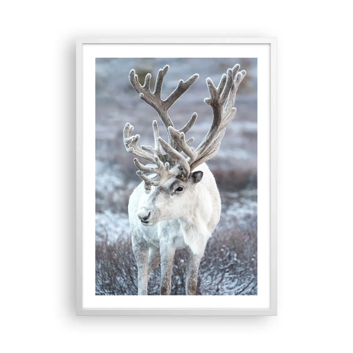 Poster in een witte lijst - Portret in de zon - 50x70 cm
