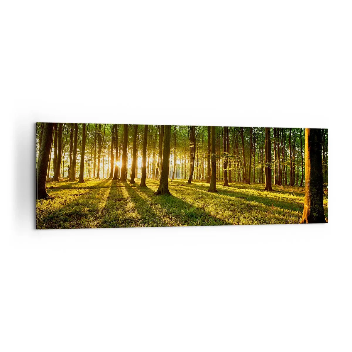 Schilderen op canvas - Foto van de hele lente - 160x50 cm