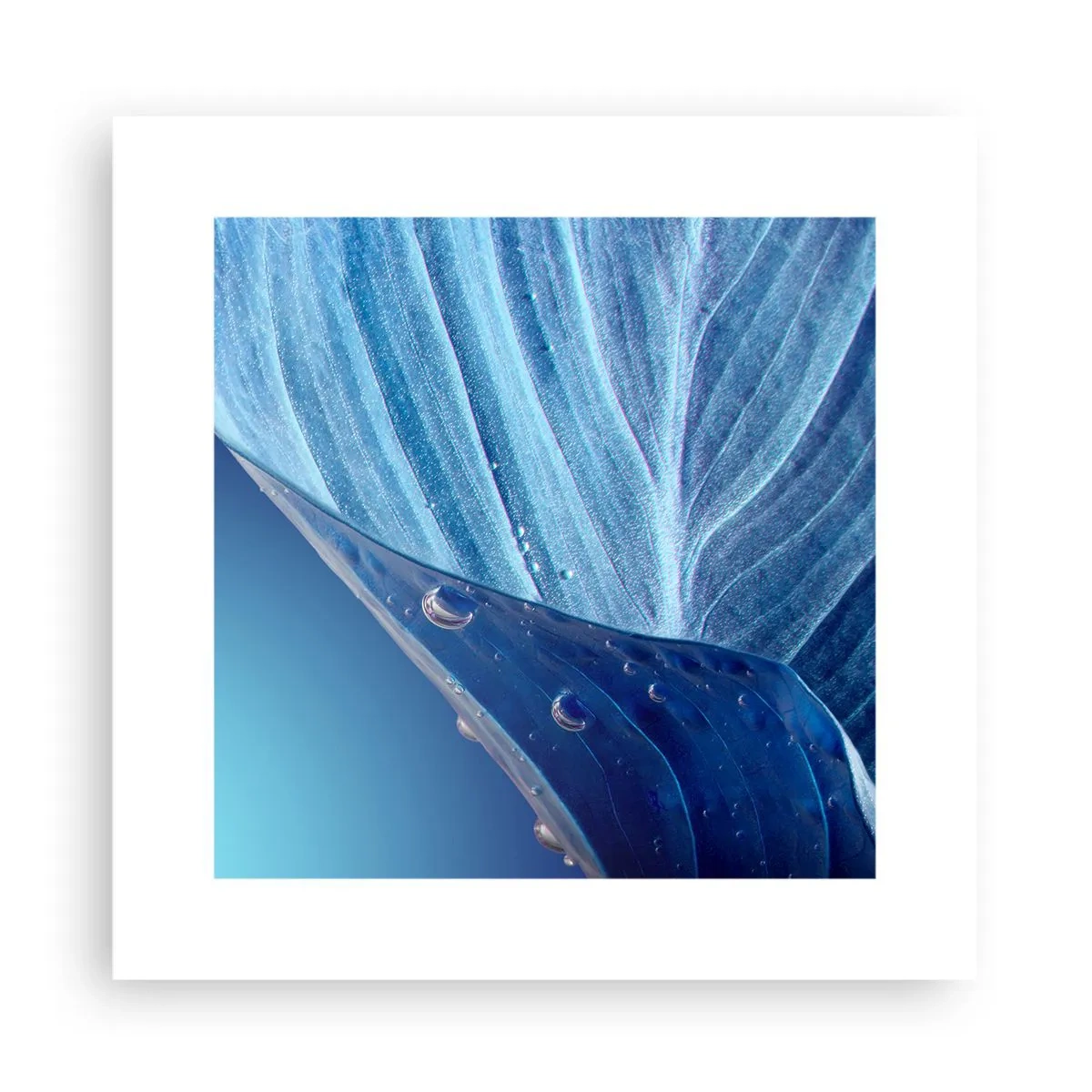 Poster - Verborgen druppels blauw - 30x30 cm