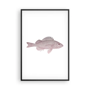 Poster in een zwarte lijst - Grote ogen vis - 61x91 cm