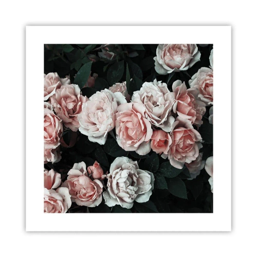 Poster - Rozen ensemble - 40x40 cm
