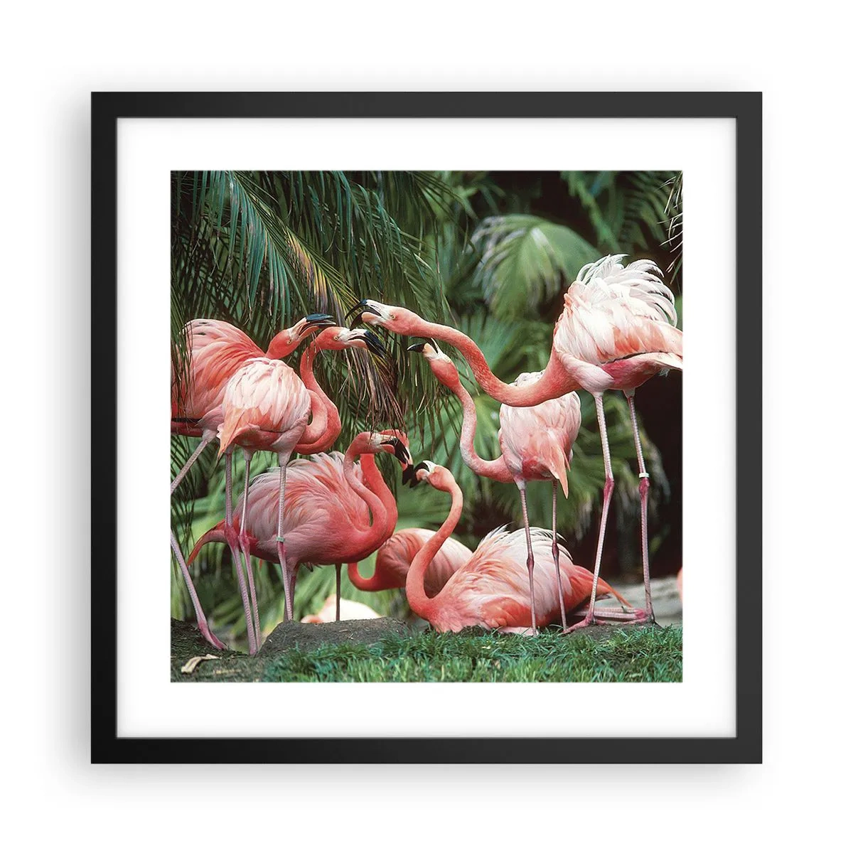 Poster in een zwarte lijst - Middag roddels - 40x40 cm