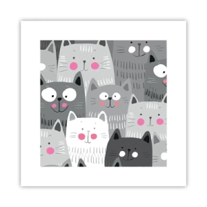 Poster - De wereld van de kat - 30x30 cm