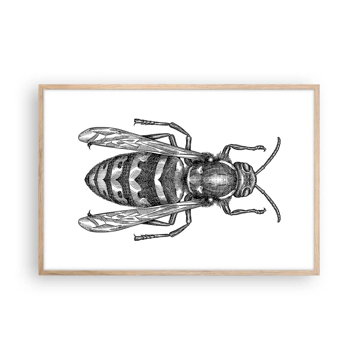 Een poster in een licht eiken lijst - Van een insectenplaneet - 91x61 cm