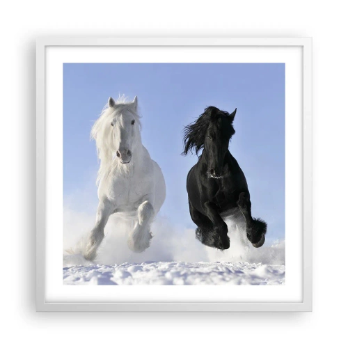 Poster in een witte lijst - Zwart-wit galop - 50x50 cm