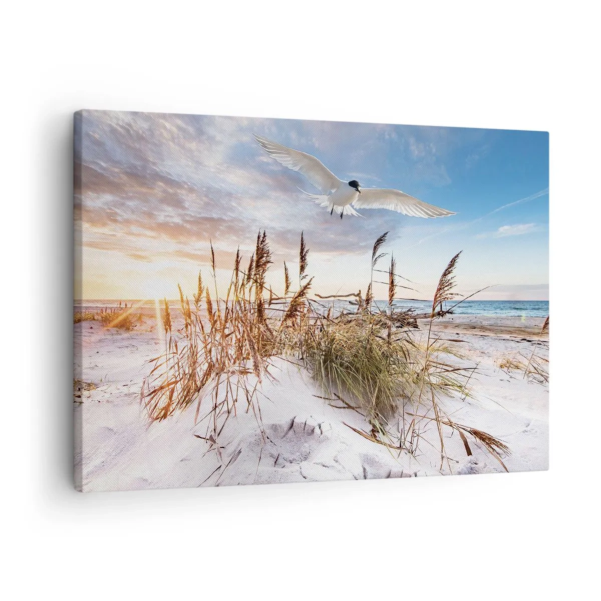 Schilderen op canvas - Strand met meeuwen die vliegen bij zonsondergang - 70x50cm - Wind uit zee - Moderne wanddecoratie voor woonkamer en slaapkamer ARTTOR