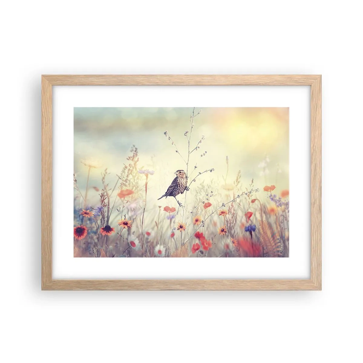 Een poster in een licht eiken lijst - Vogelportret met een weiland op de achtergrond - 40x30 cm