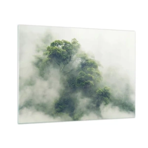Schilderen op glas - Bomen in tropische bossen die uit de dichte mist opduiken - 70x50cm - In mist gehuld - Moderne wanddecoratie voor woonkamer en slaapkamer ARTTOR