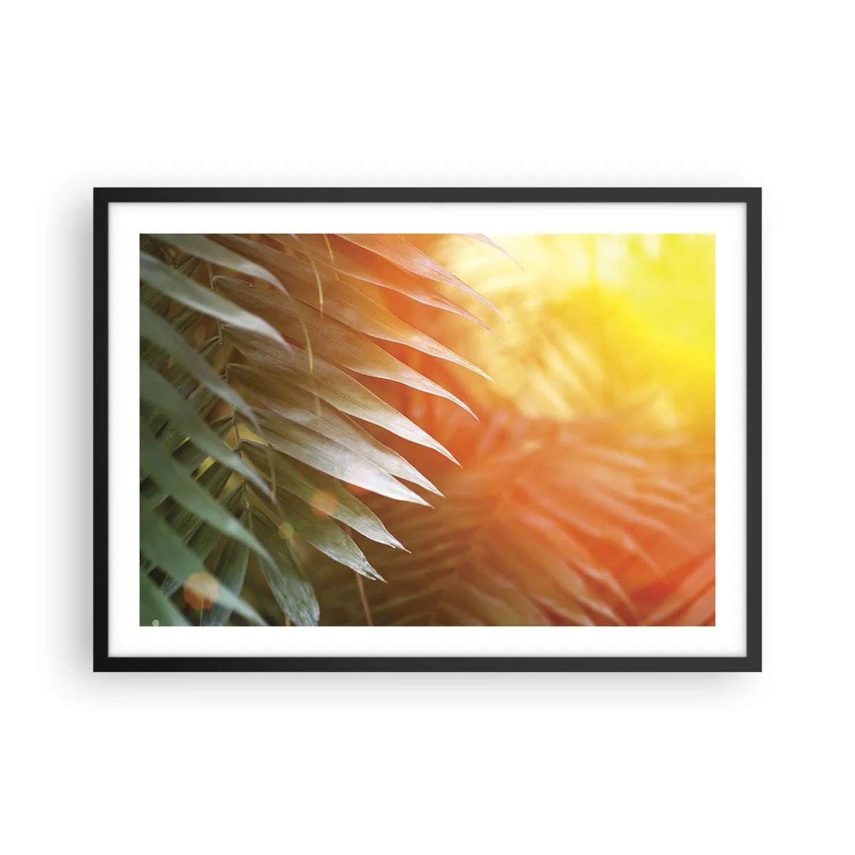 Poster in een zwarte lijst - Ochtend in de jungle - 70x50 cm