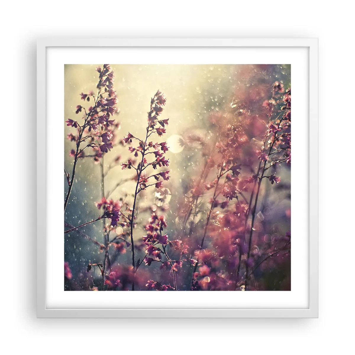 Poster in een witte lijst - Geheime Tuin - 50x50 cm