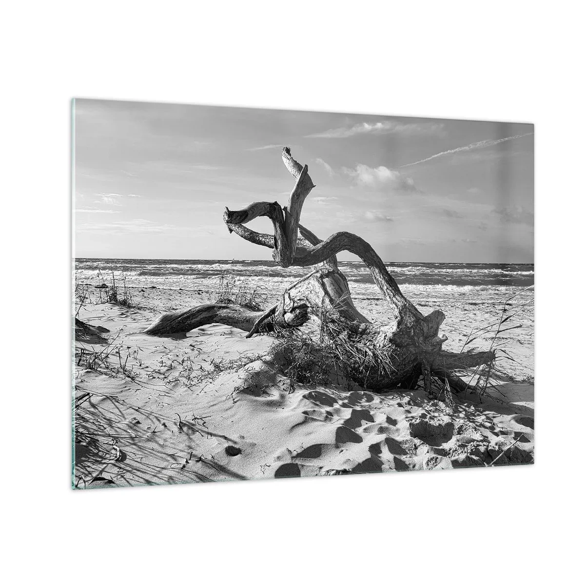 Schilderen op glas - Een zwart-wit landschap met een gevallen tak op een strand. - 70x50cm - Zee sculptuur - Moderne wanddecoratie voor woonkamer en slaapkamer ARTTOR