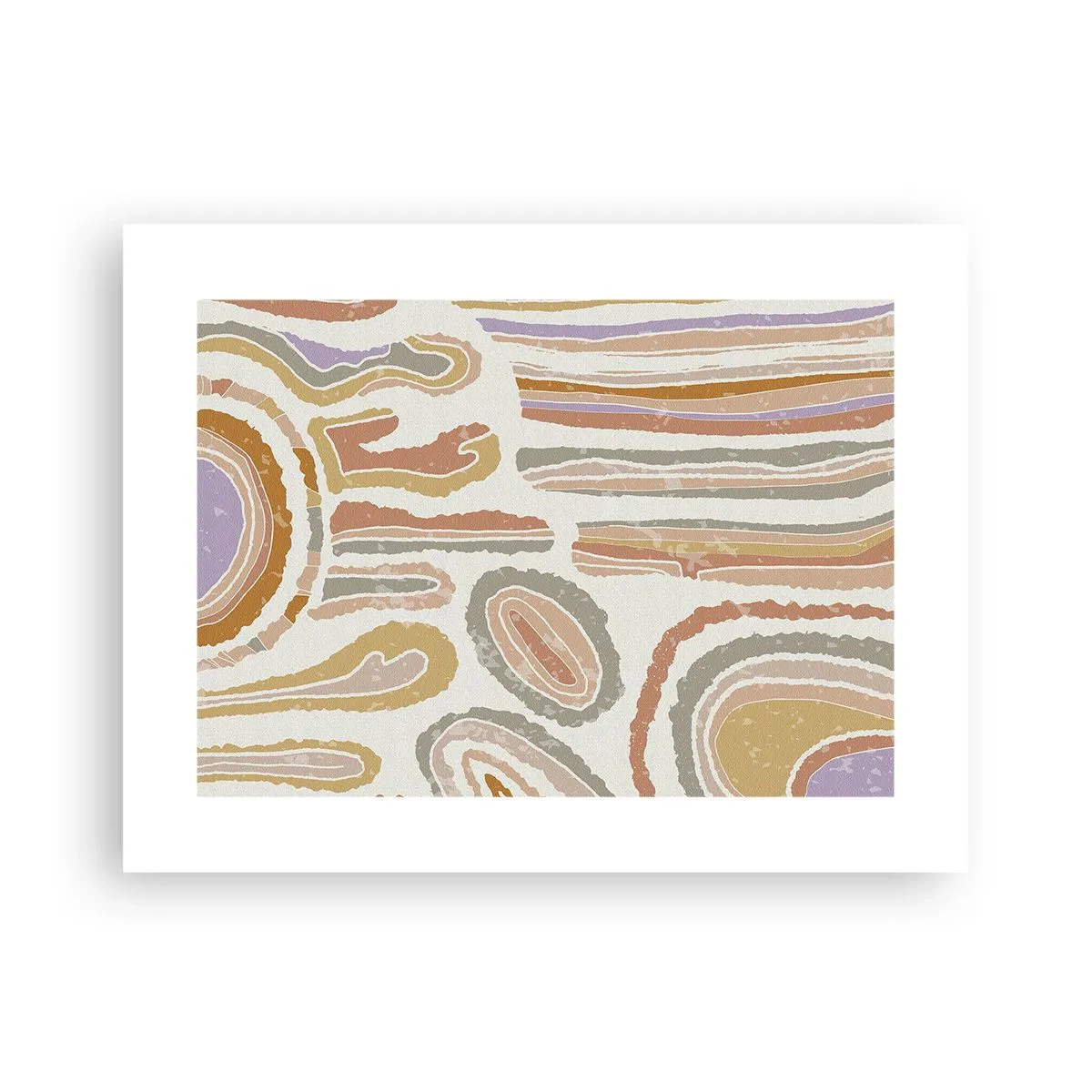 Poster - Kleurrijke doorsneden - 40x30 cm