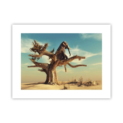 Poster - Een nieuw gezichtspunt - 40x30 cm