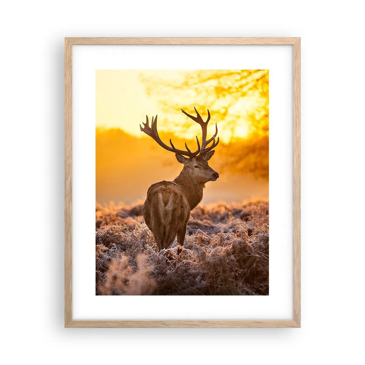 Een poster in een licht eiken lijst - Koning van het herfstbos - 40x50 cm