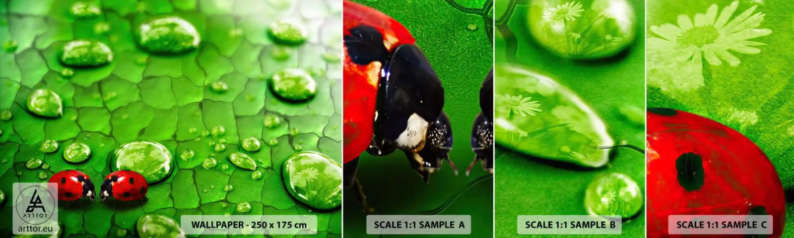 Fotobehang Staaltje Standard Eco - Ontmoeting in het groen - Natuur, Lieveheersbeestje, Een druppel water - 100x30 cm