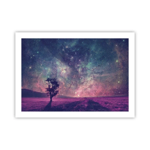 Poster - Onder de magische hemel - 70x50 cm