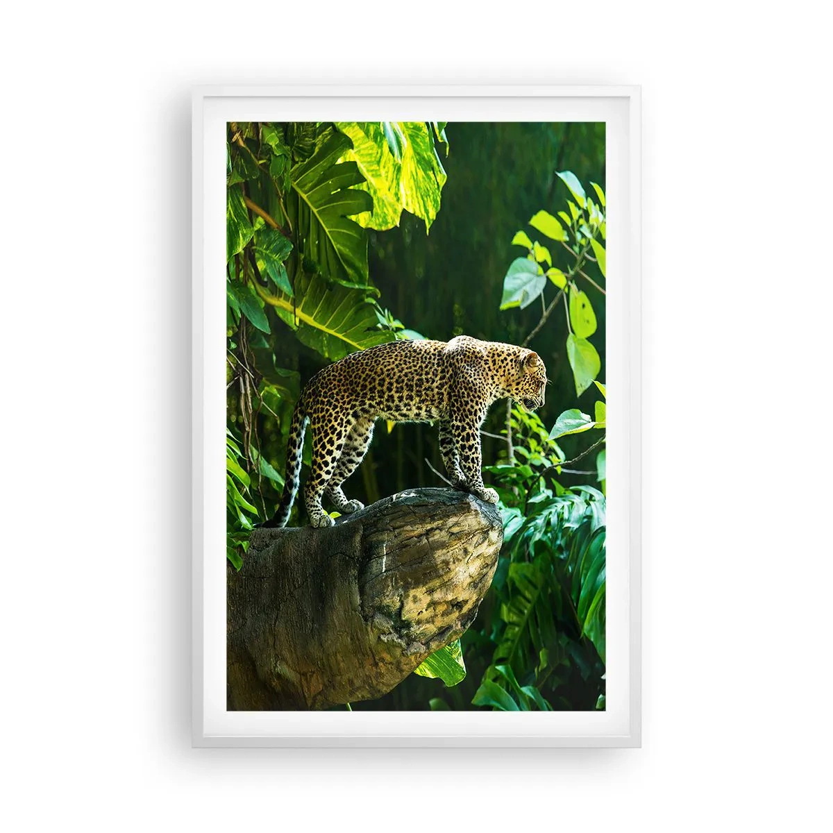 Poster in een witte lijst - Op jacht? - 61x91 cm