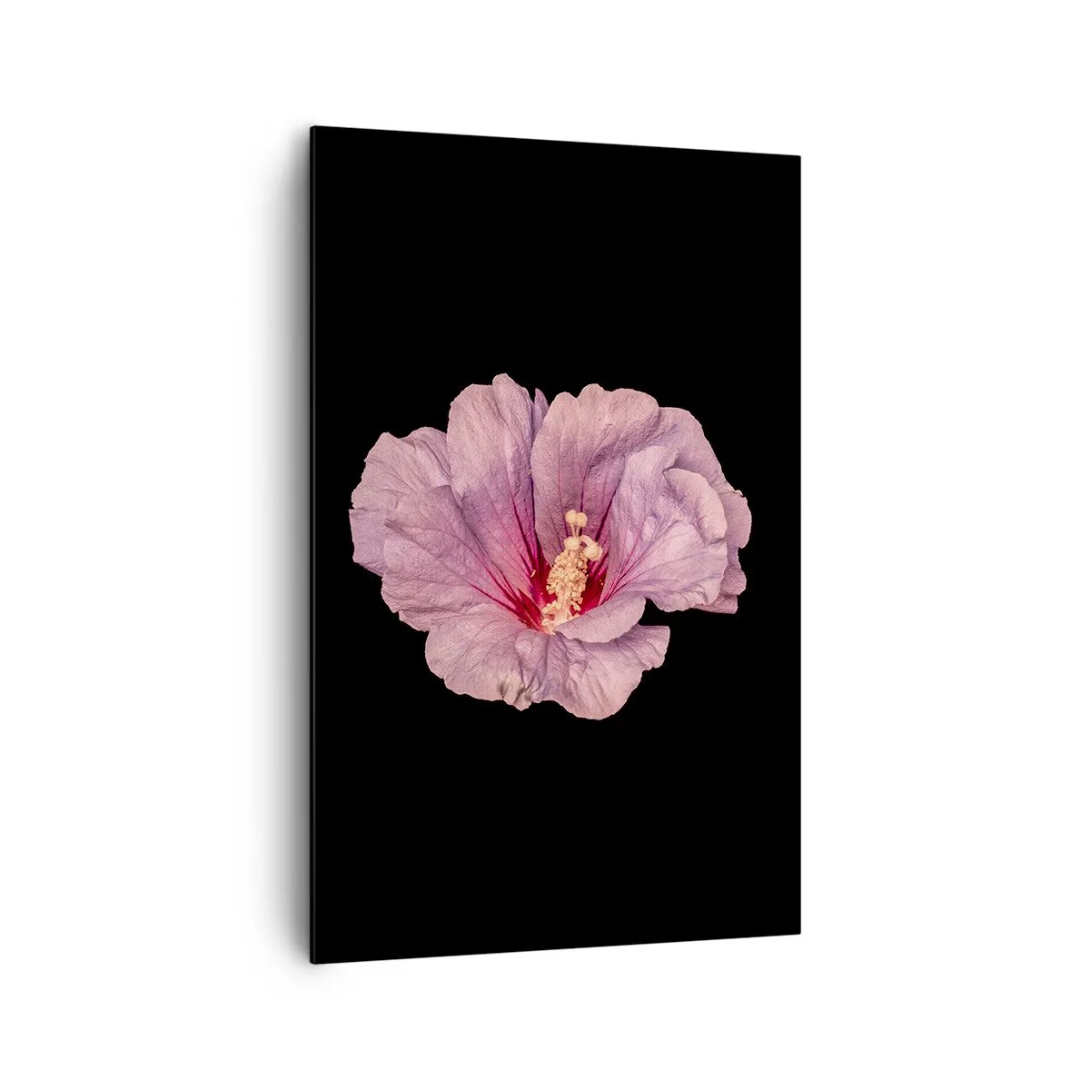 Schilderen op canvas - Recht in het hart - 80x120 cm