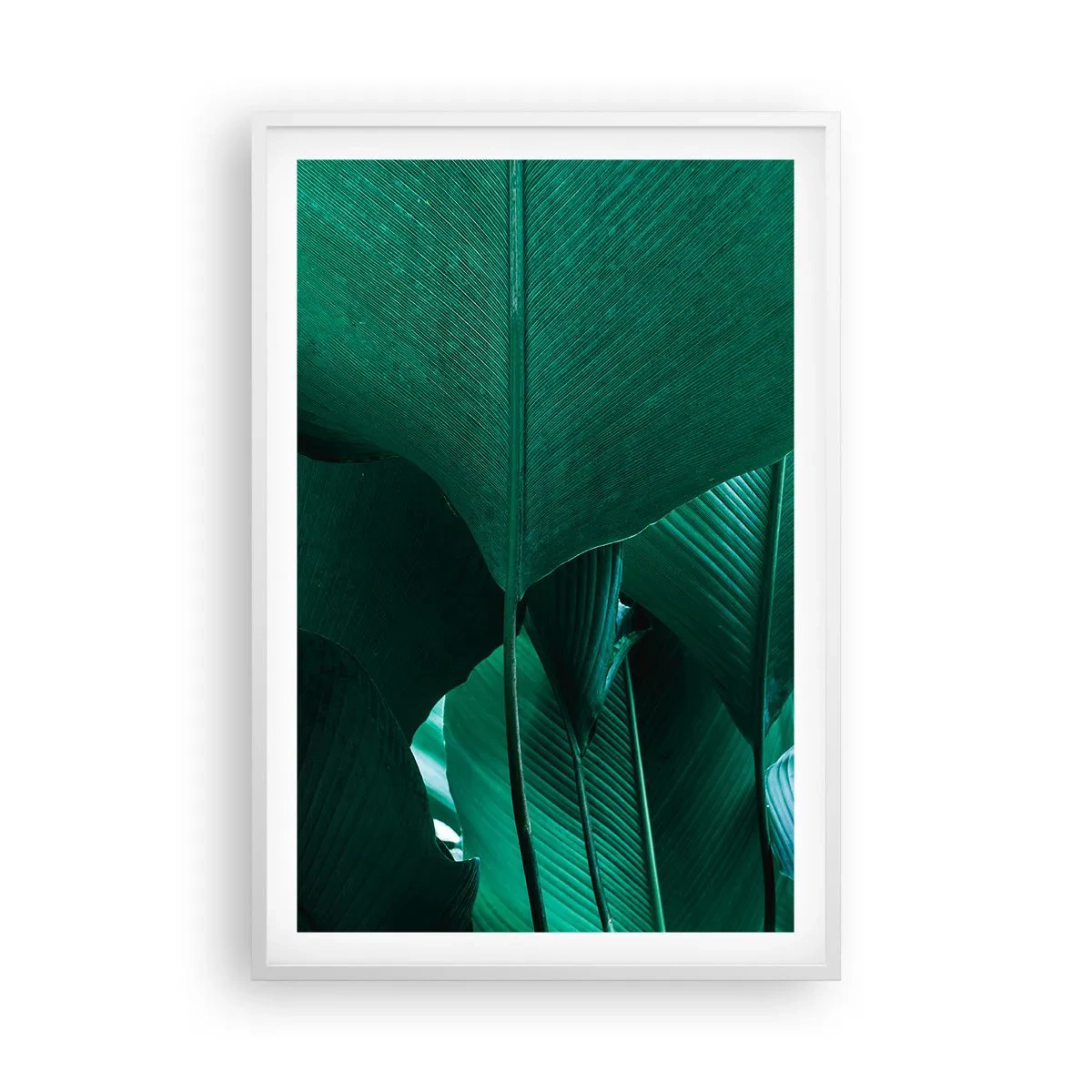 Poster in een witte lijst - Naar het licht gekeerd - 61x91 cm
