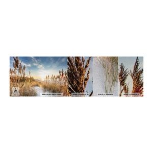 Fotobehang Monster Premium Sand - Noord strand - Landschap, Zee, Strand - 100x30 cm