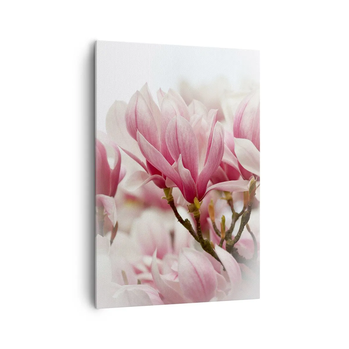 Schilderen op canvas - Lente bloemen - 70x100 cm