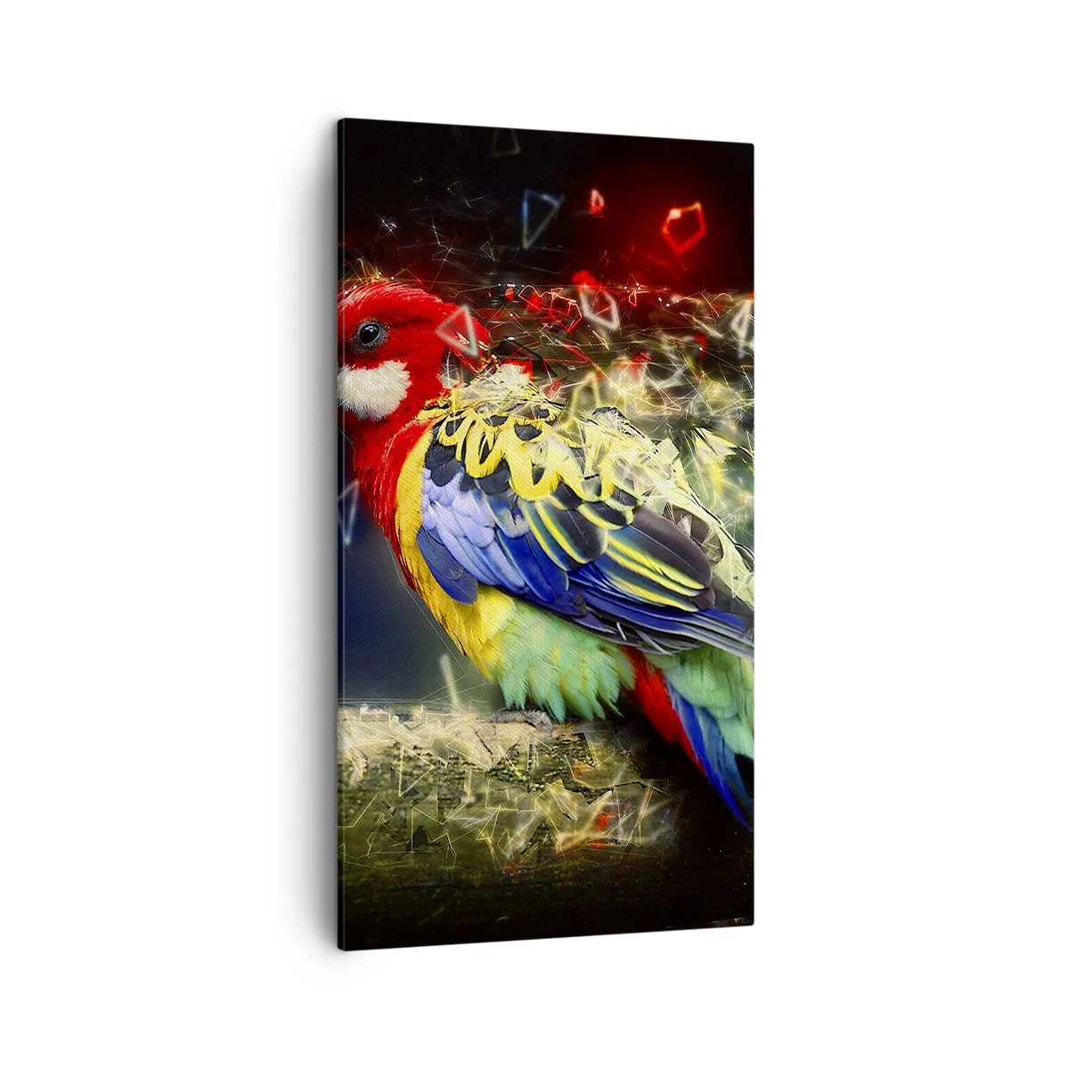 Schilderen op canvas - Boodschapper van uitstraling - 45x80 cm