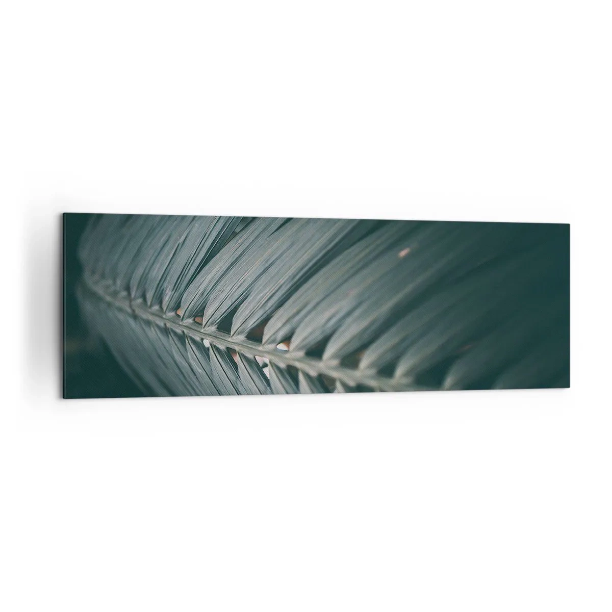 Schilderen op canvas - De precisie van de natuur - 160x50 cm
