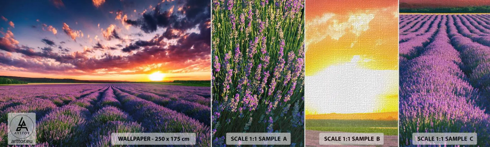Fotobehang Monster Premium Canvas - Lavendel wereld - Landschap, Lavendelveld, Lavendel - 100x30 cm