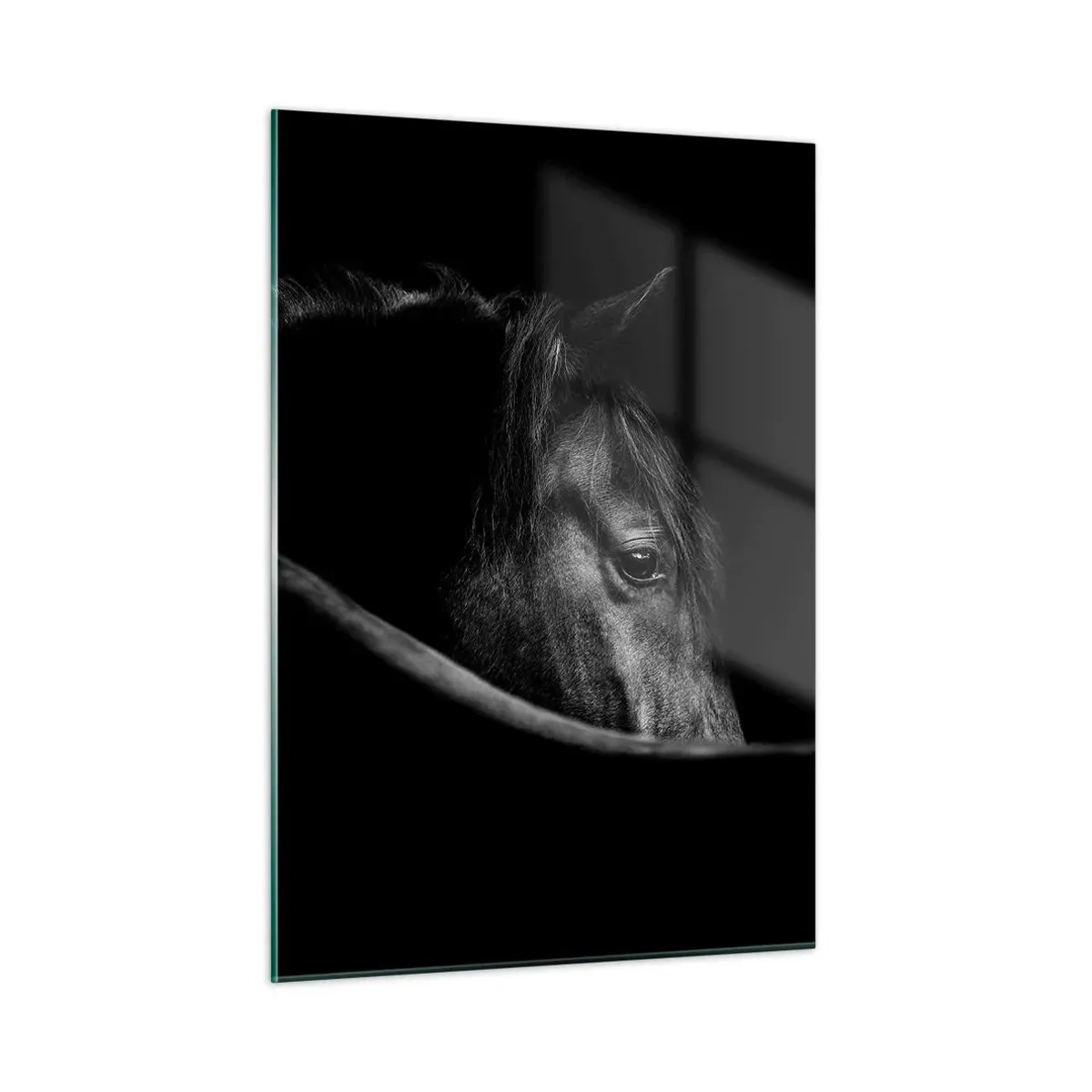 Schilderen op glas - Zwarte Prins - 50x70 cm