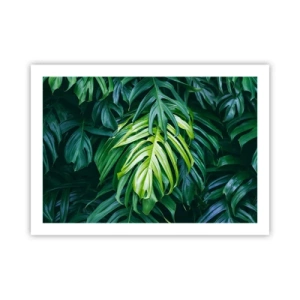 Poster - Dompel jezelf onder in de frisheid - 70x50 cm