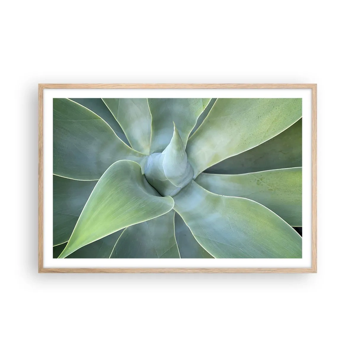 Een poster in een licht eiken lijst - De geboorte van groen - 91x61 cm