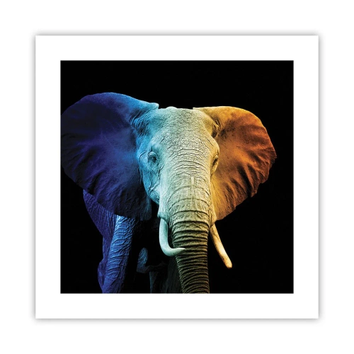 Poster - Excentriek, niet raar - 40x40 cm