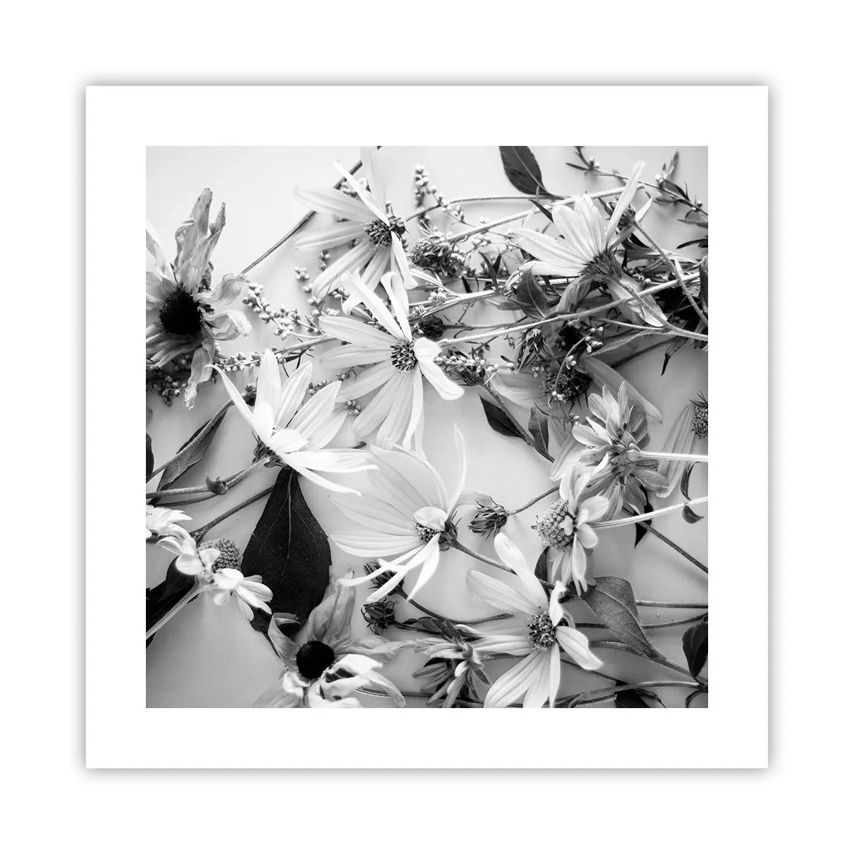 Poster - Niet-boeket bloemen - 40x40 cm