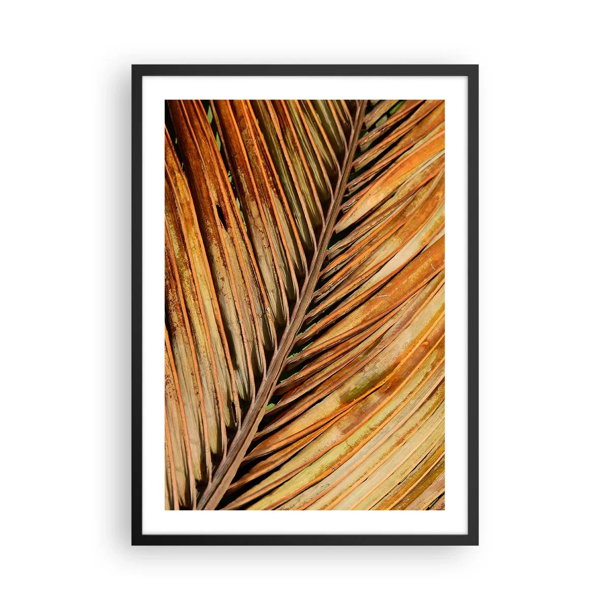 Poster in een zwarte lijst - Een close-up van een droog blad in tinten bruin en goud. - 50x70cm - Kokos goud - Moderne wanddecoratie voor woonkamer en slaapkamer ARTTOR