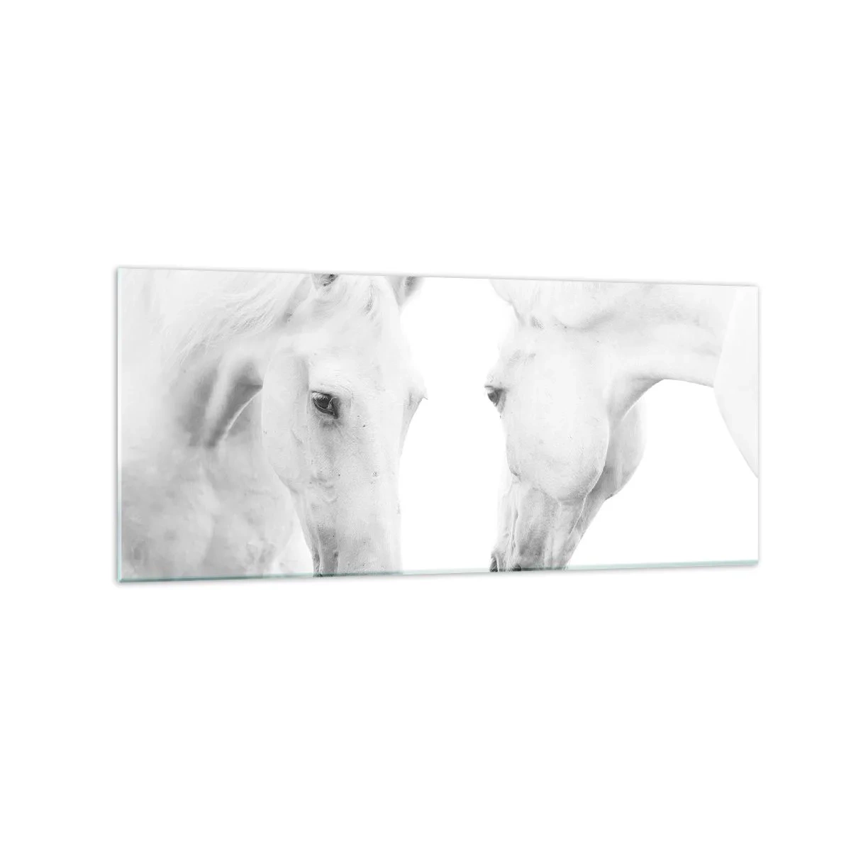 Schilderen op glas - Is dit vriendschap...? - 120x50 cm