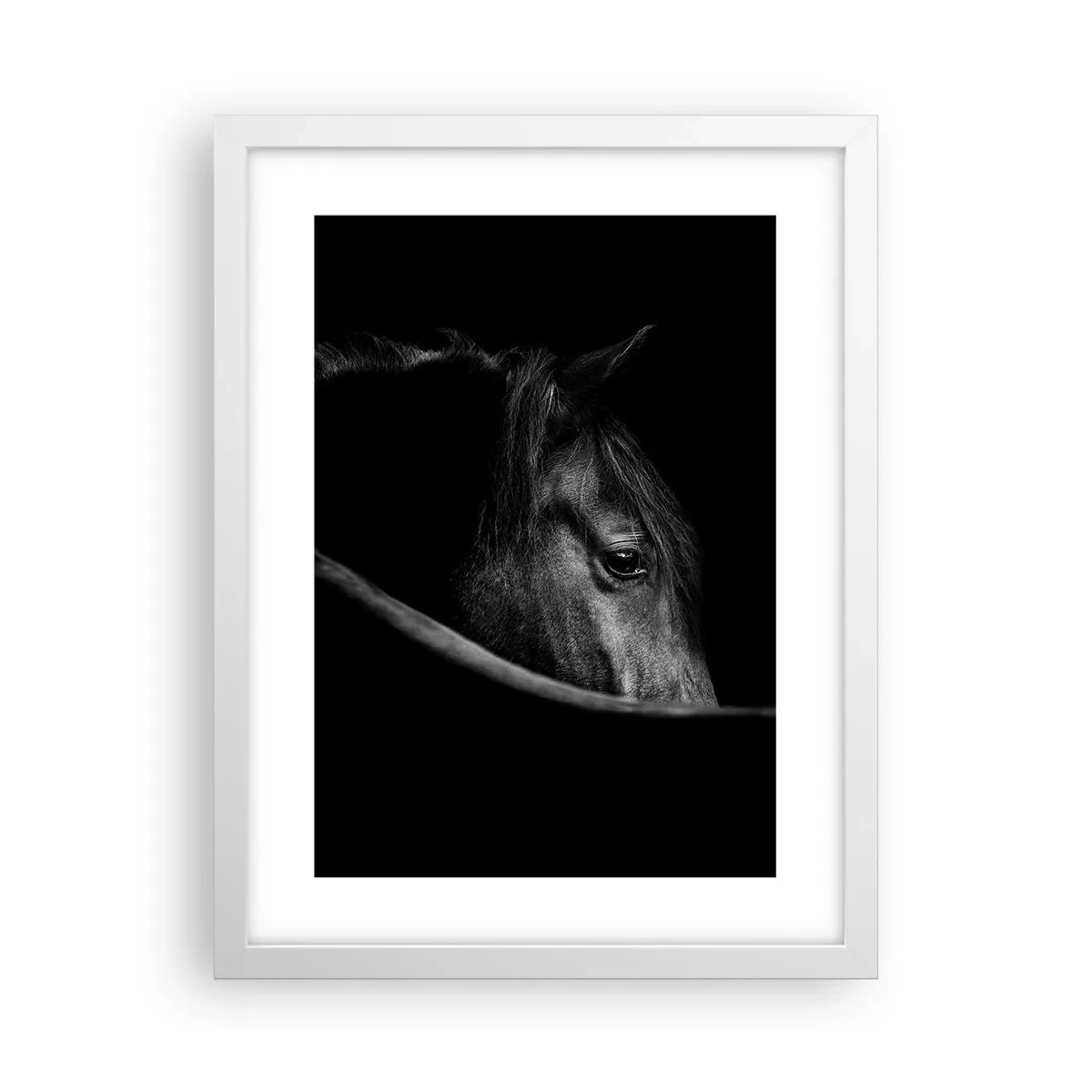 Poster in een witte lijst - Zwarte Prins - 30x40 cm