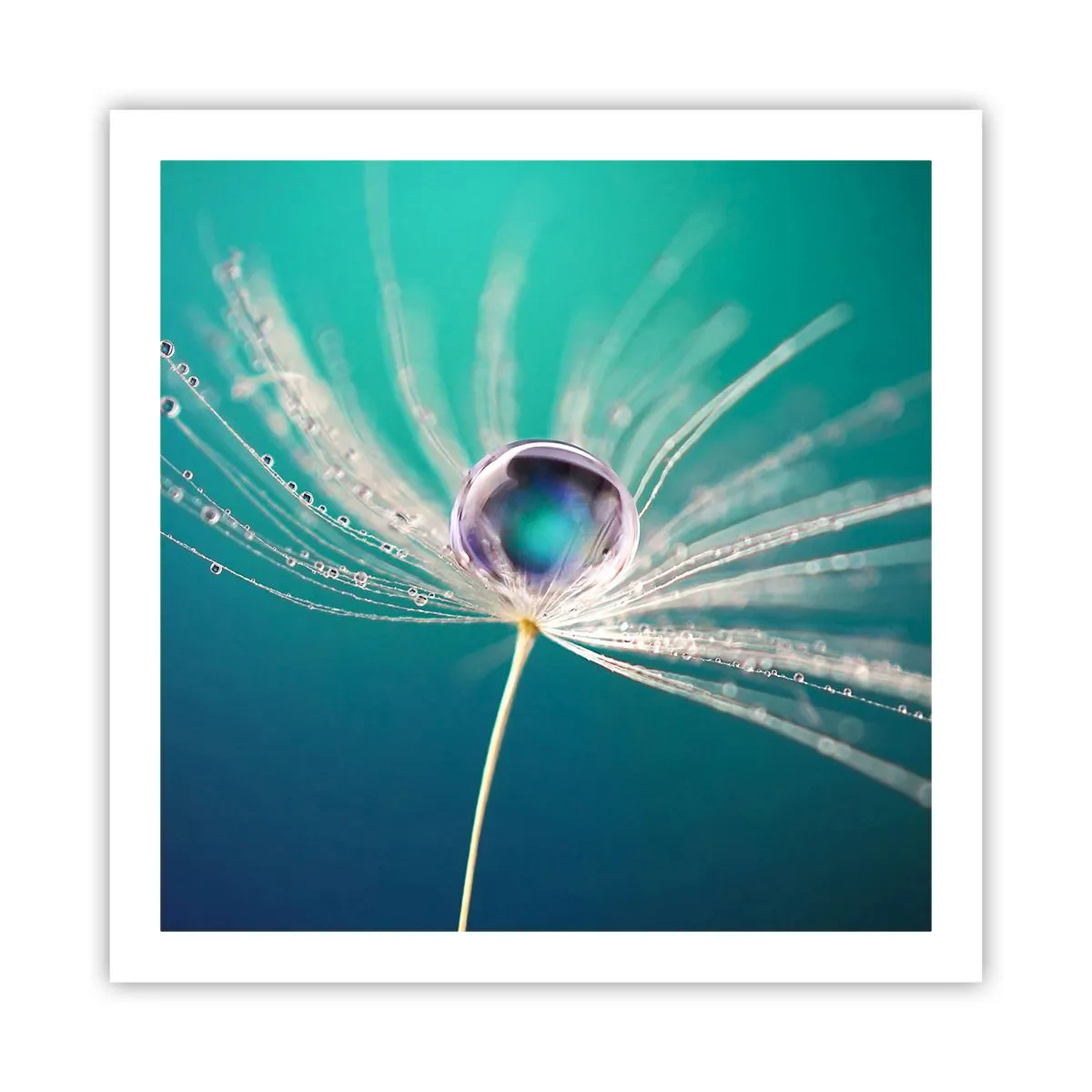 Poster - Mystiek moment - 60x60 cm