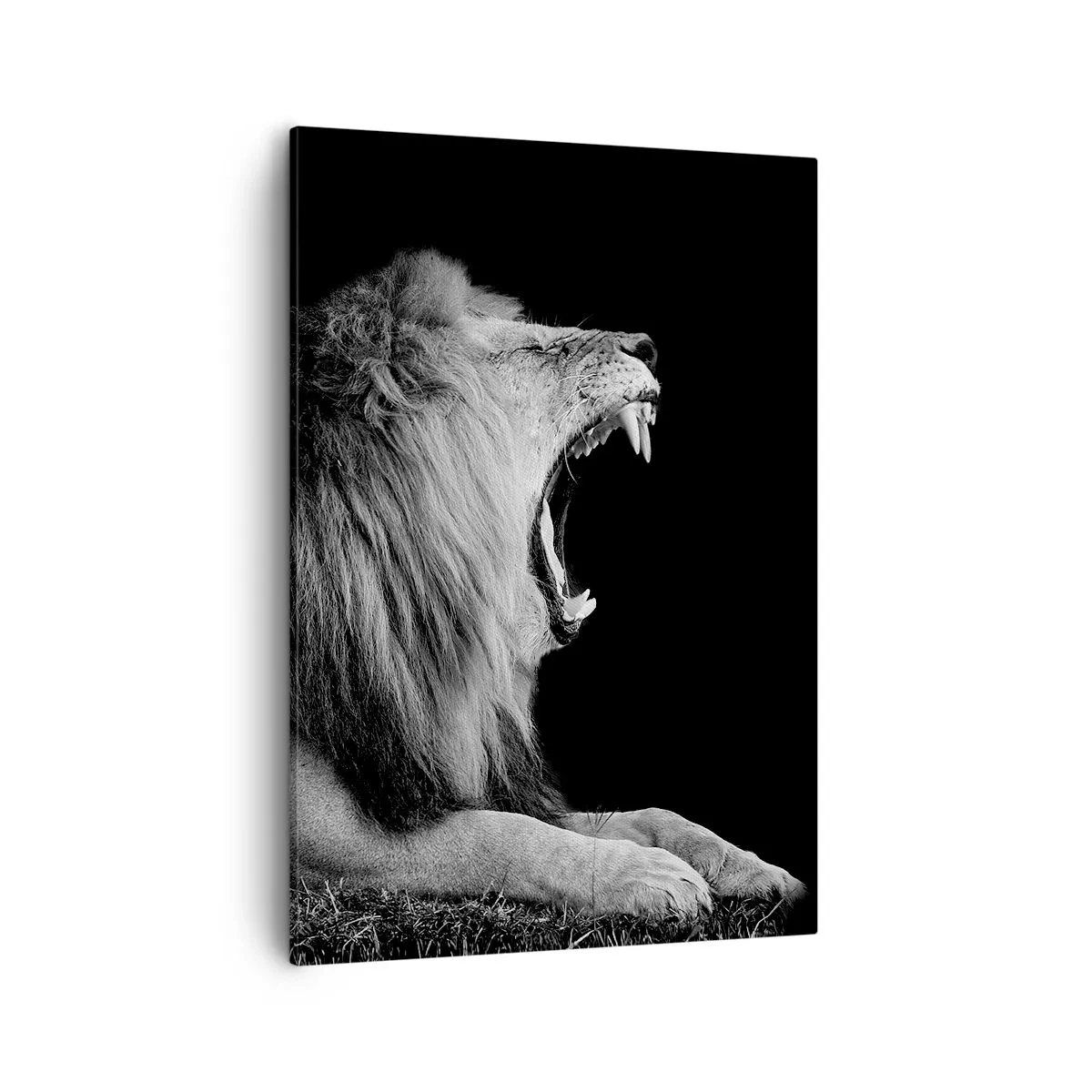 Schilderen op canvas - Zonder enige twijfel - 50x70 cm