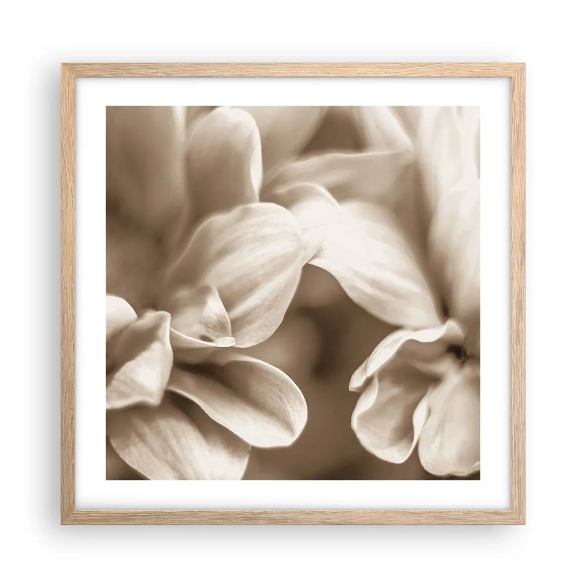 Een poster in een licht eiken lijst - Zo zacht als een glimlach - 50x50 cm