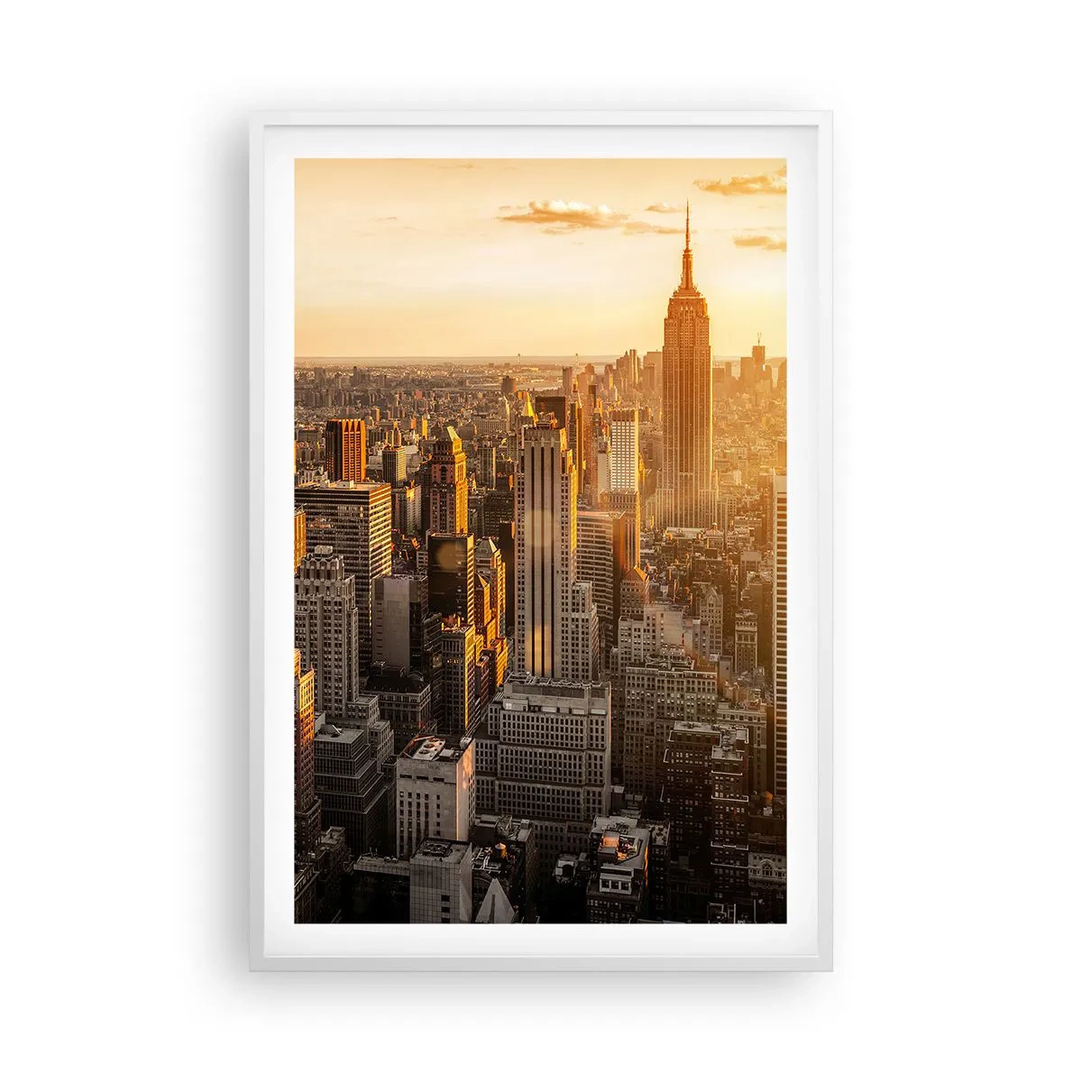 Poster in een witte lijst - Groeien in de zon - 61x91 cm