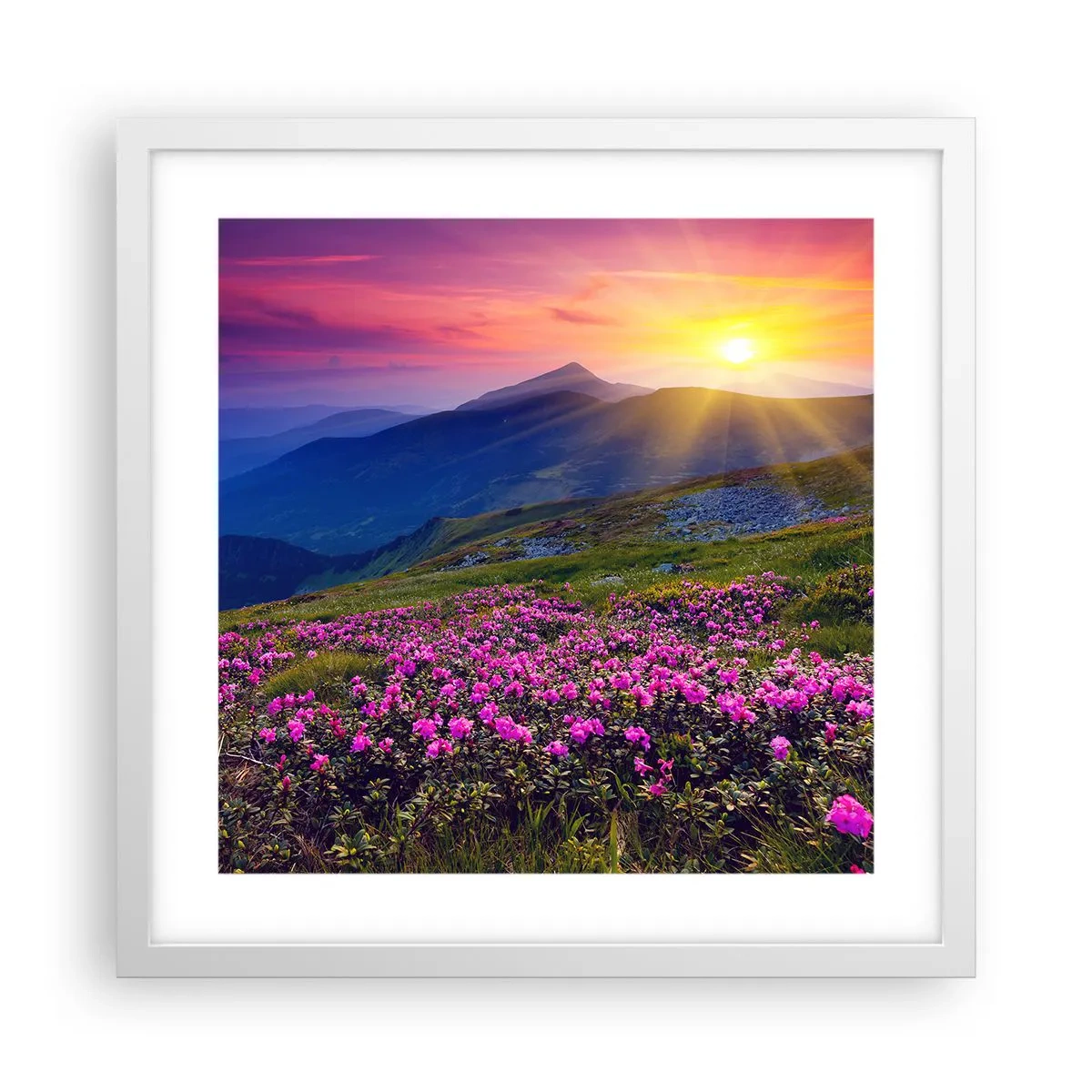 Poster in een witte lijst - … En eromheen ruikt het naar bergdennen en de geur van kruiden - 40x40 cm