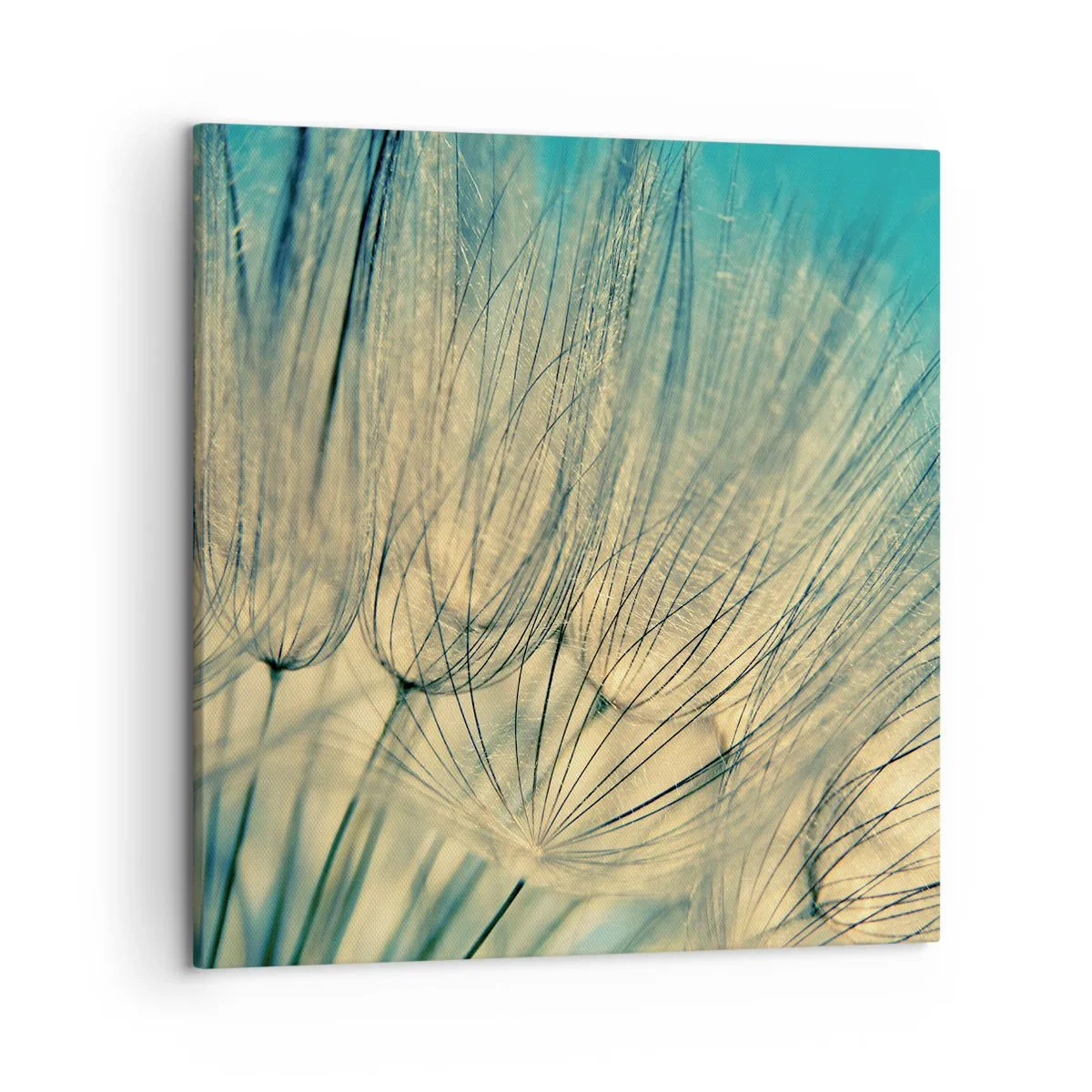 Schilderen op canvas - In afwachting van de wind - 50x50 cm