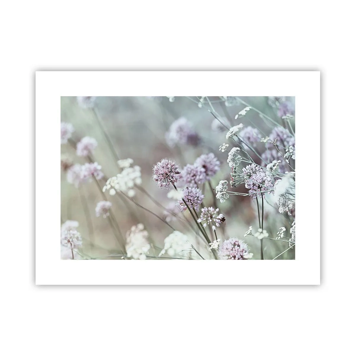 Poster - Zoete filigrane kruiden - 40x30 cm