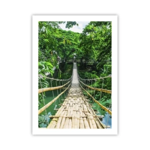 Poster - Apenbrug over de green - 50x70 cm